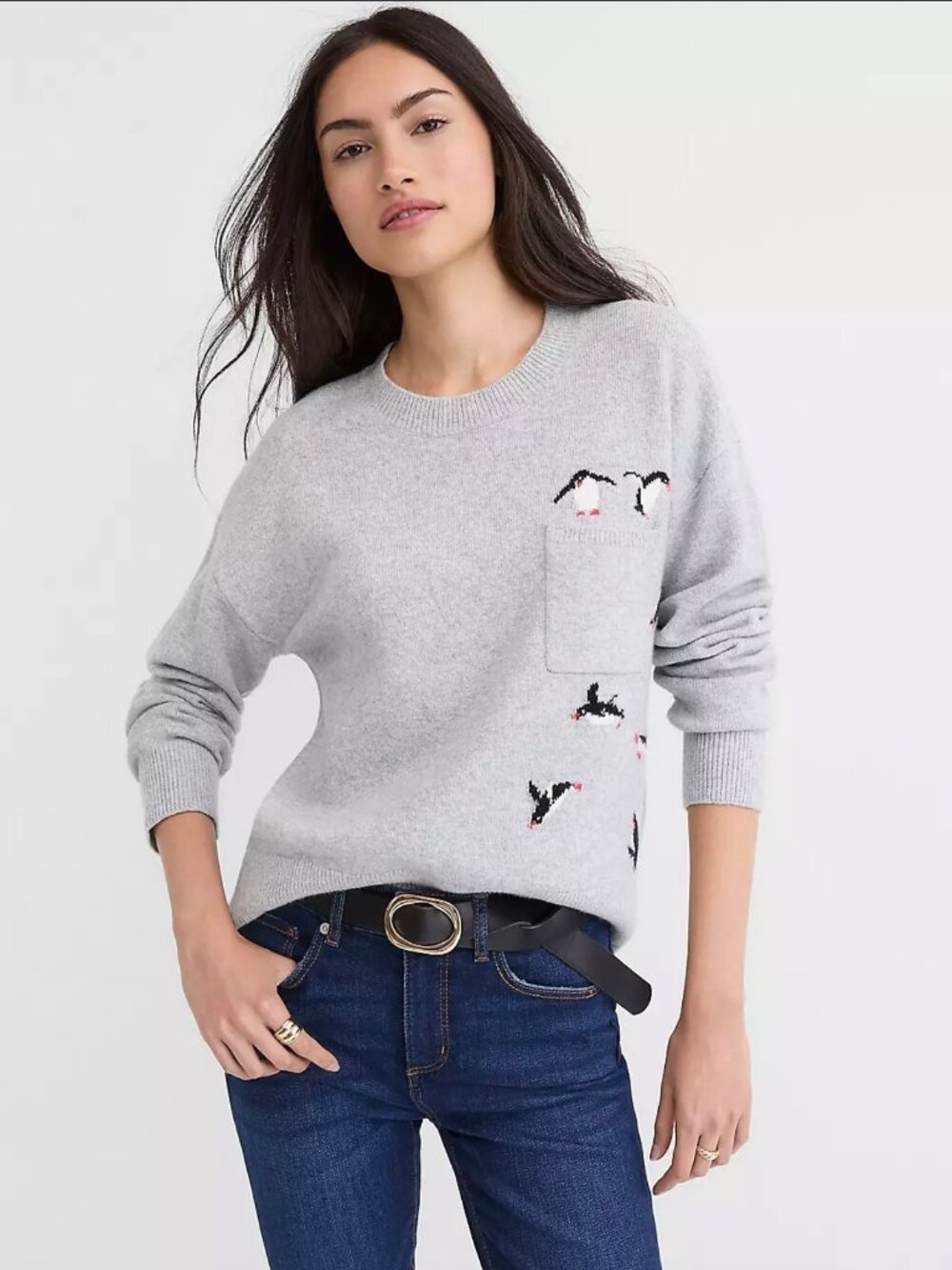 Loft Penguin Pocket Sweater • Medium • NWT!